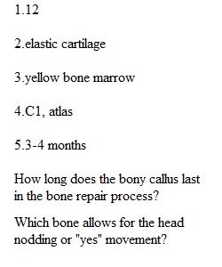 Quiz 12